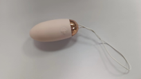 Wireless Remote Control Vibrating Egg - Rechargeable with 10 Vibration Modes, Waterproof Body-Safe Silicone, Quiet Motor, Portable Personal Massager