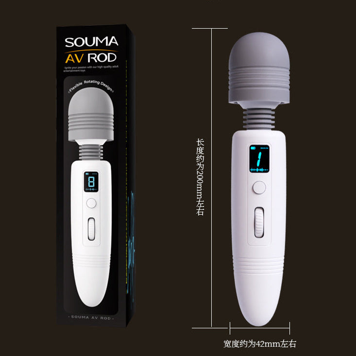 Portable Mini Vibrator - Dual Motor Tongue Licking Function, USB Charging, Quiet <85dB, ABS+TPE Material
