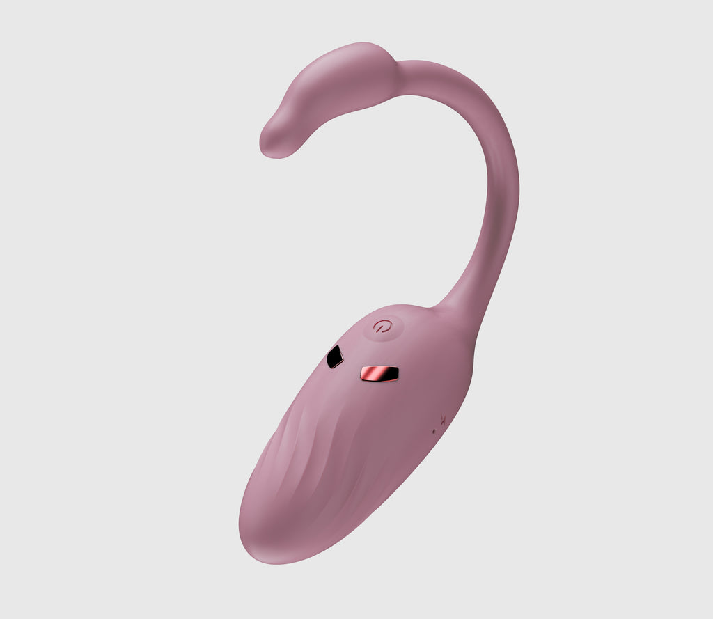 Wireless Remote Control Vibrating Egg - Waterproof Rechargeable G-Spot Massager with Whisper Quiet Motor